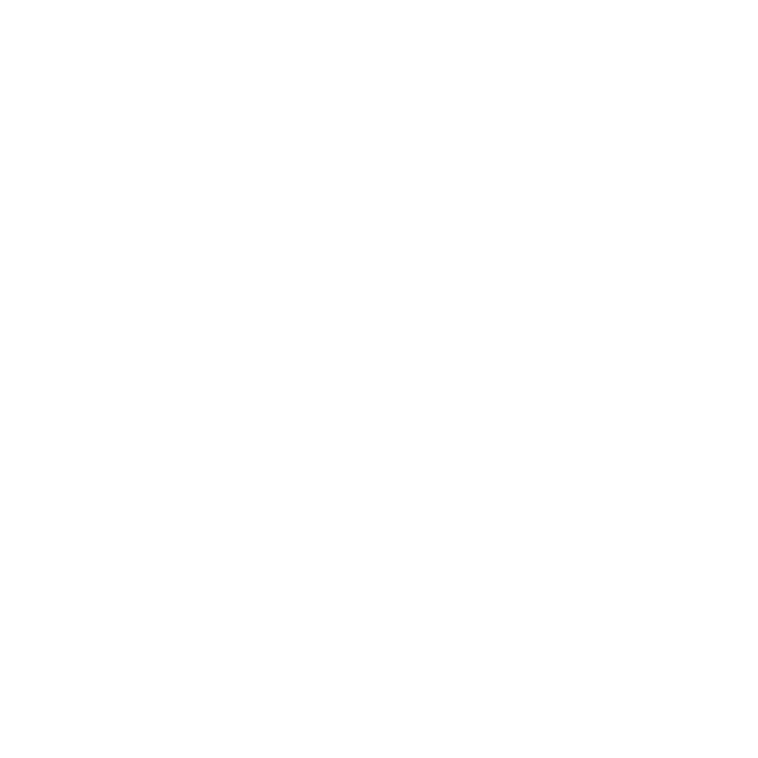 Google Partner